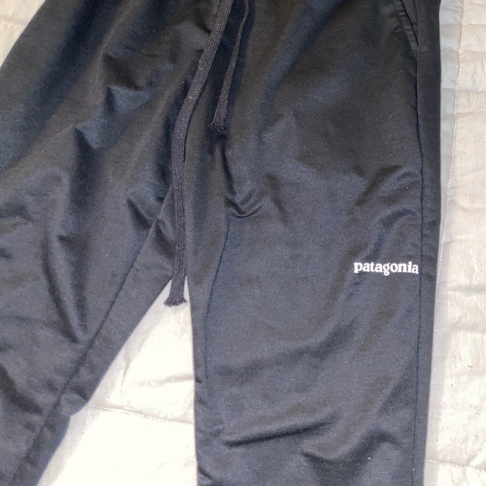 Patagonia sweatpants